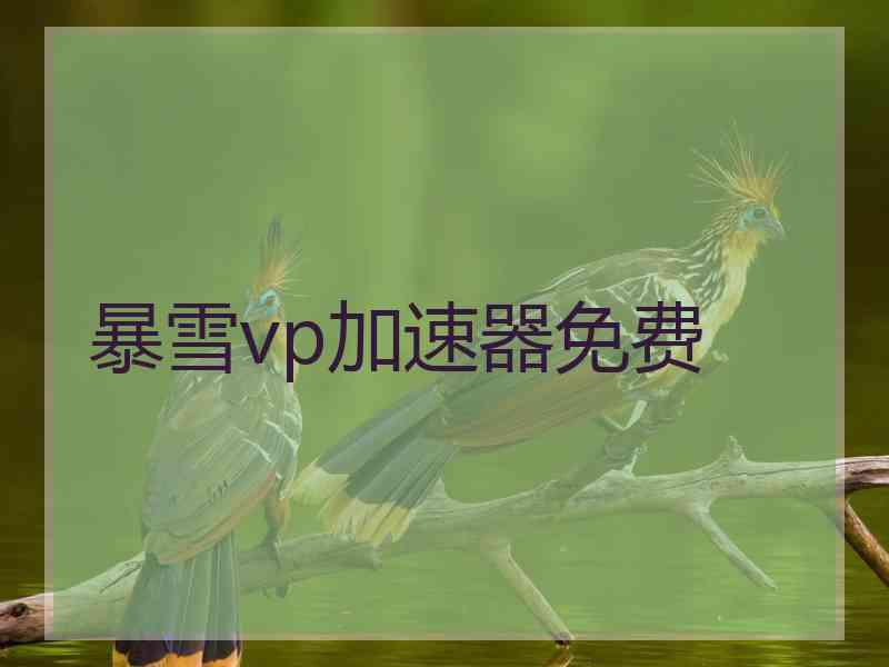暴雪vp加速器免费