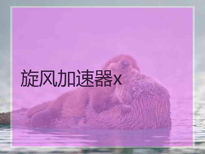 旋风加速器x