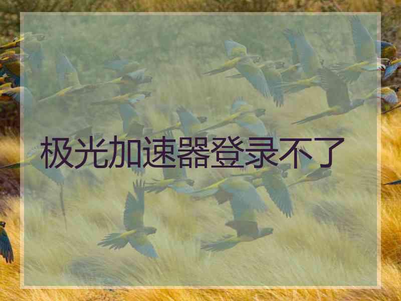 极光加速器登录不了