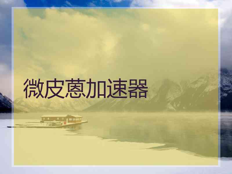 微皮蒽加速器