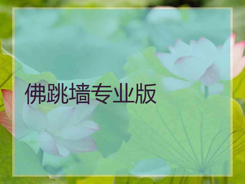 佛跳墙专业版