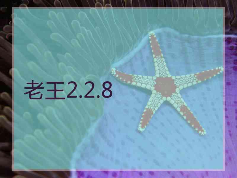 老王2.2.8