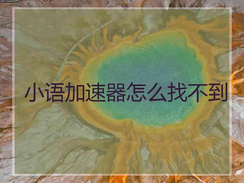 小语加速器怎么找不到
