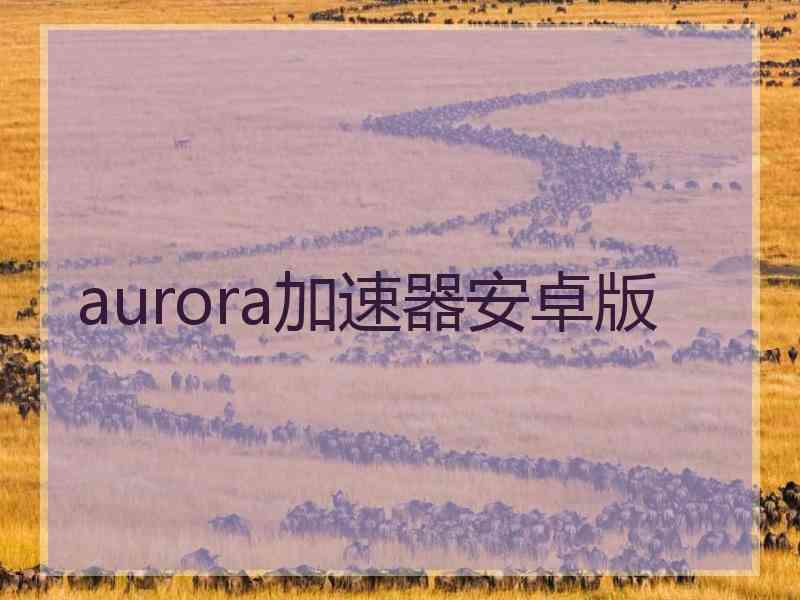 aurora加速器安卓版