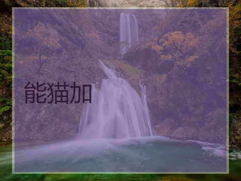 能猫加