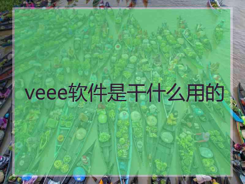 veee软件是干什么用的