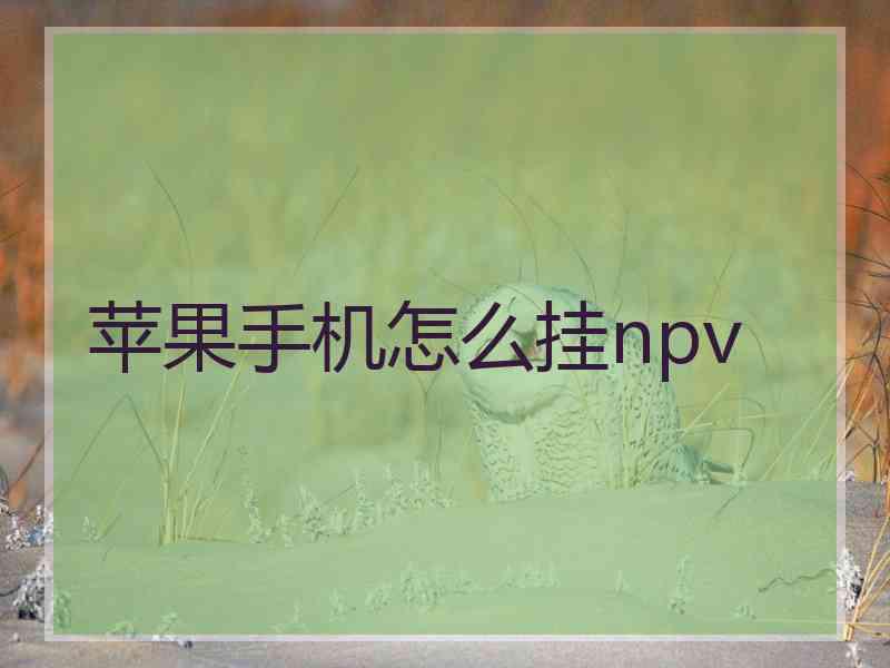 苹果手机怎么挂npv