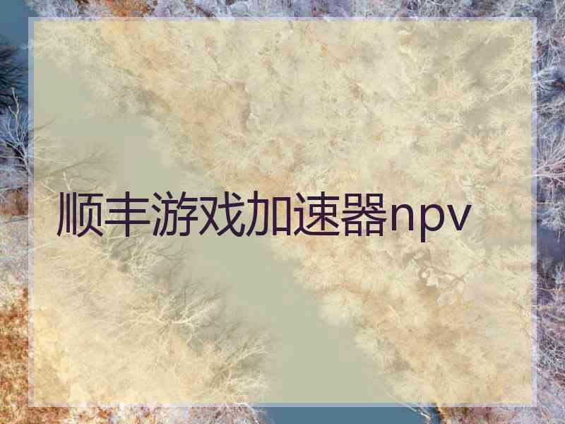 顺丰游戏加速器npv