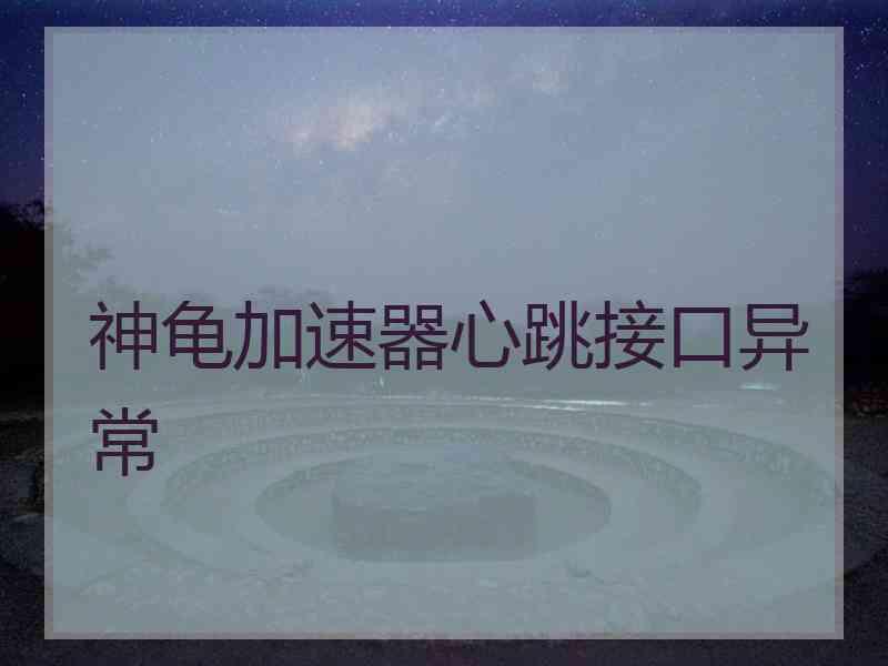 神龟加速器心跳接口异常