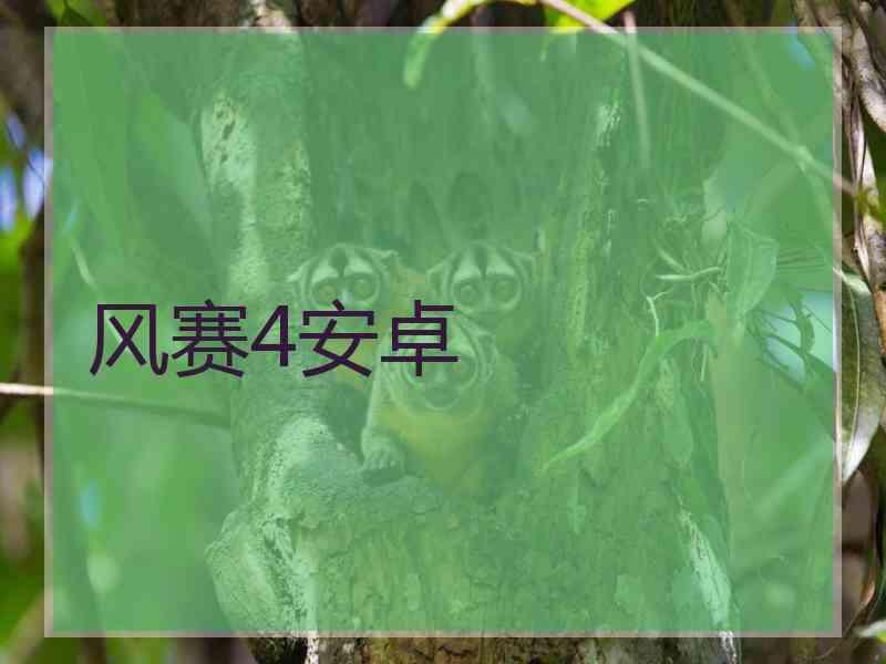 风赛4安卓