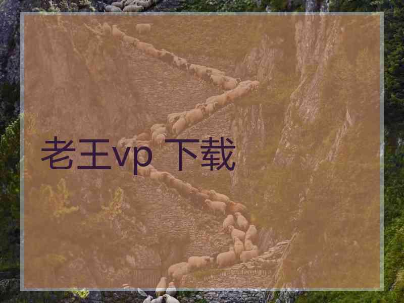 老王vp 下载