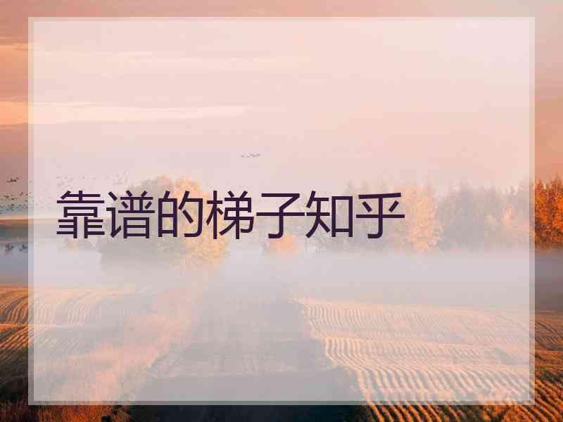 靠谱的梯子知乎