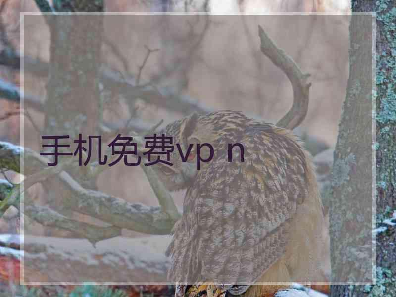 手机免费vp n