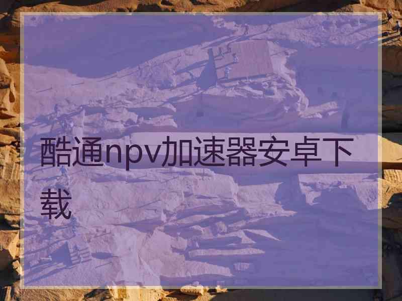 酷通npv加速器安卓下载