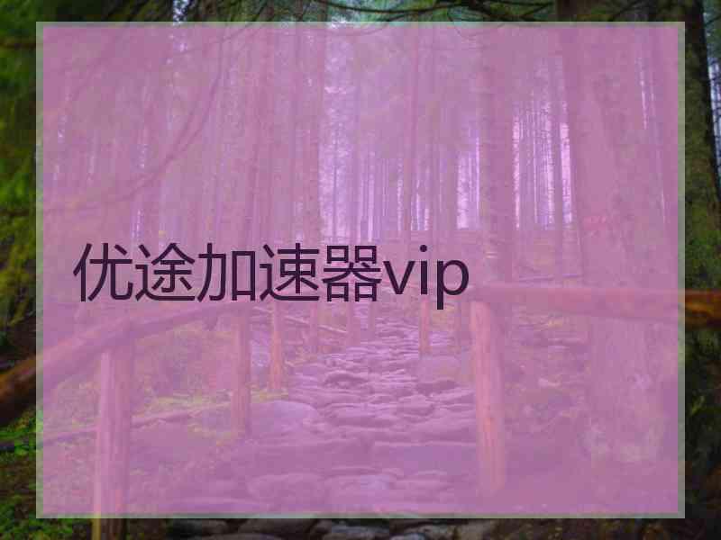 优途加速器vip