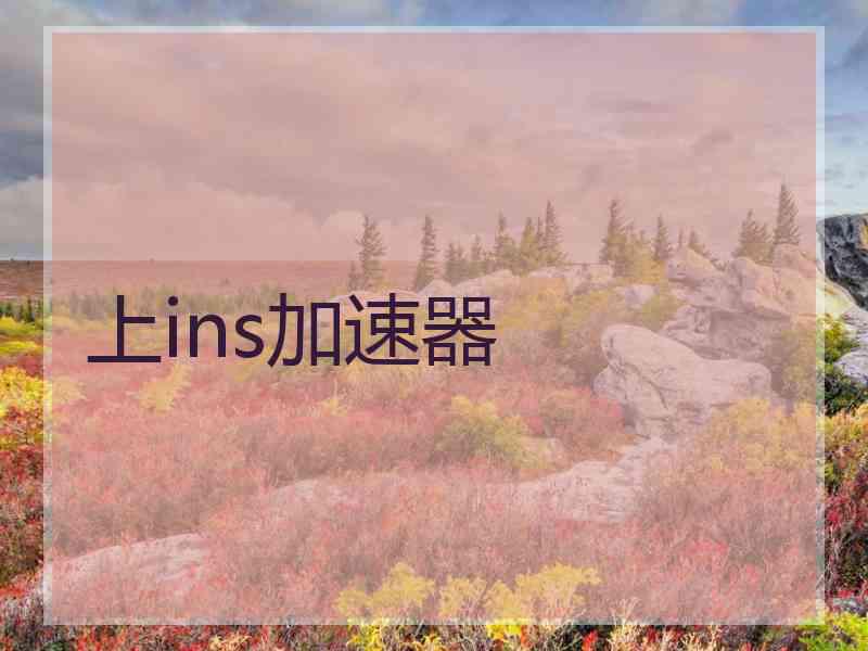 上ins加速器