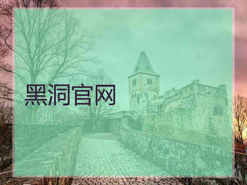 黑洞官网