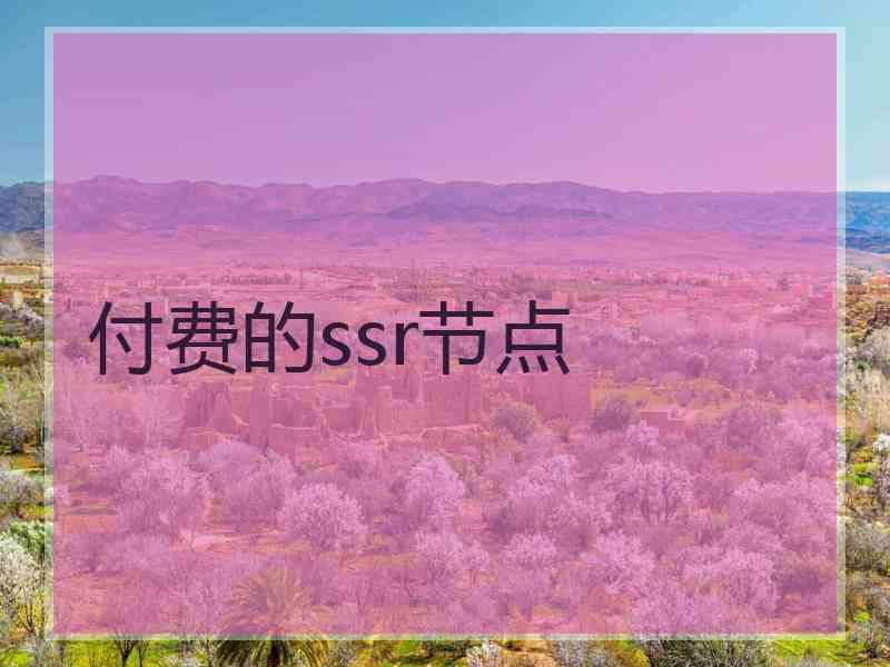 付费的ssr节点