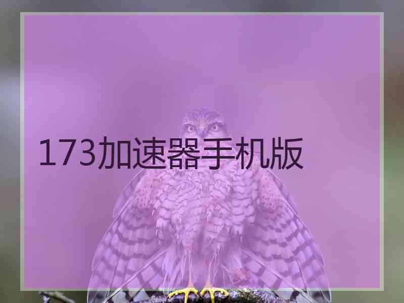 173加速器手机版