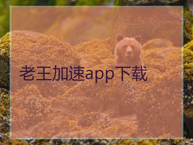 老王加速app下载