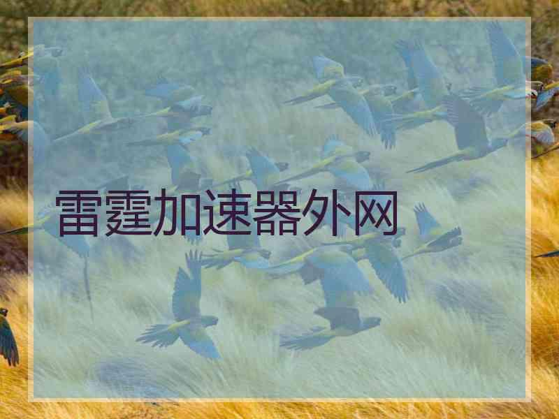 雷霆加速器外网
