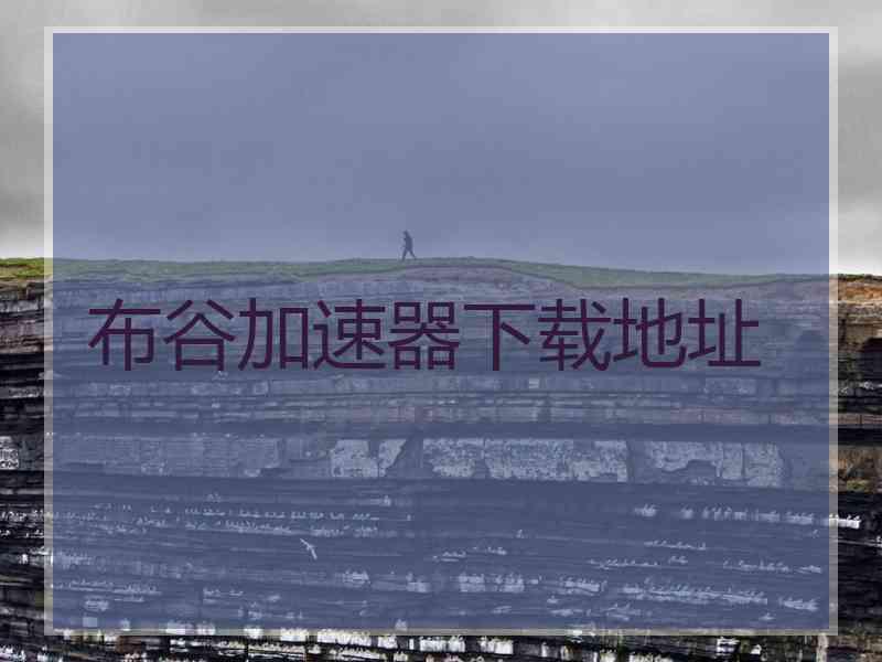 布谷加速器下载地址