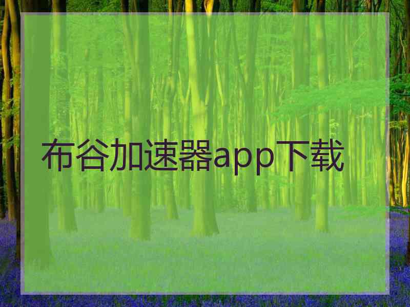 布谷加速器app下载