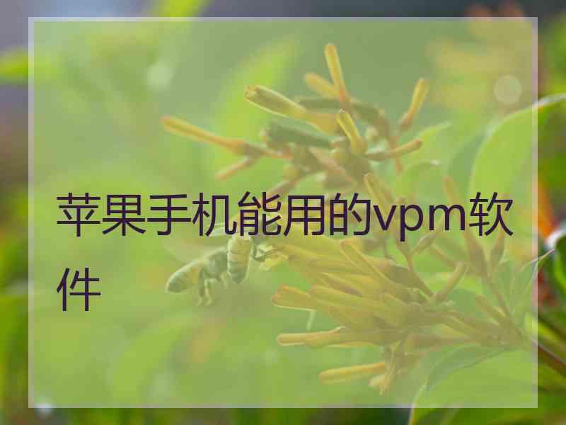 苹果手机能用的vpm软件