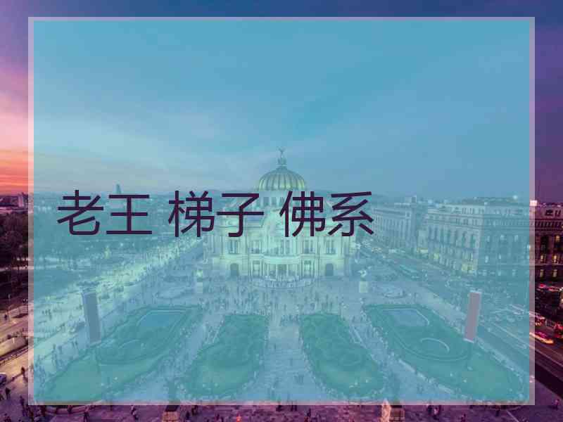 老王 梯子 佛系