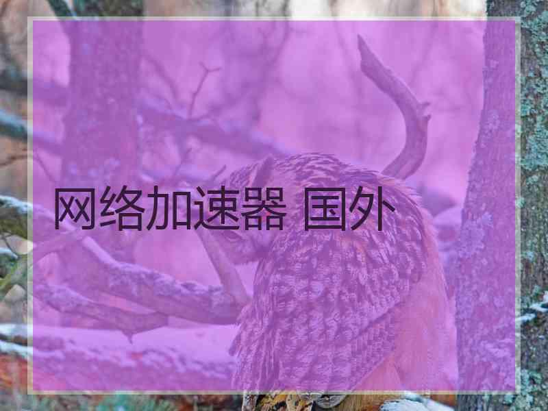 网络加速器 国外