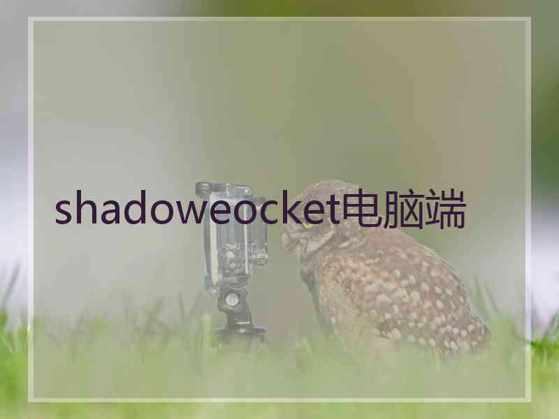 shadoweocket电脑端