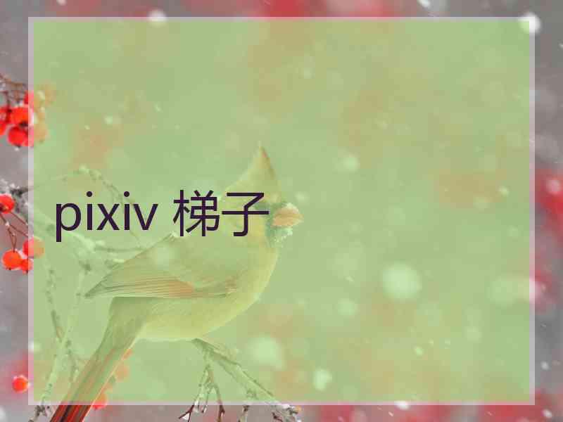 pixiv 梯子