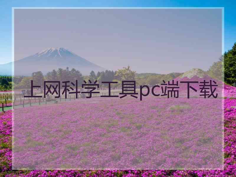 上网科学工具pc端下载