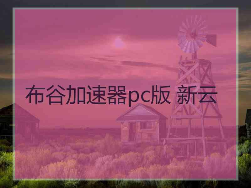 布谷加速器pc版 新云