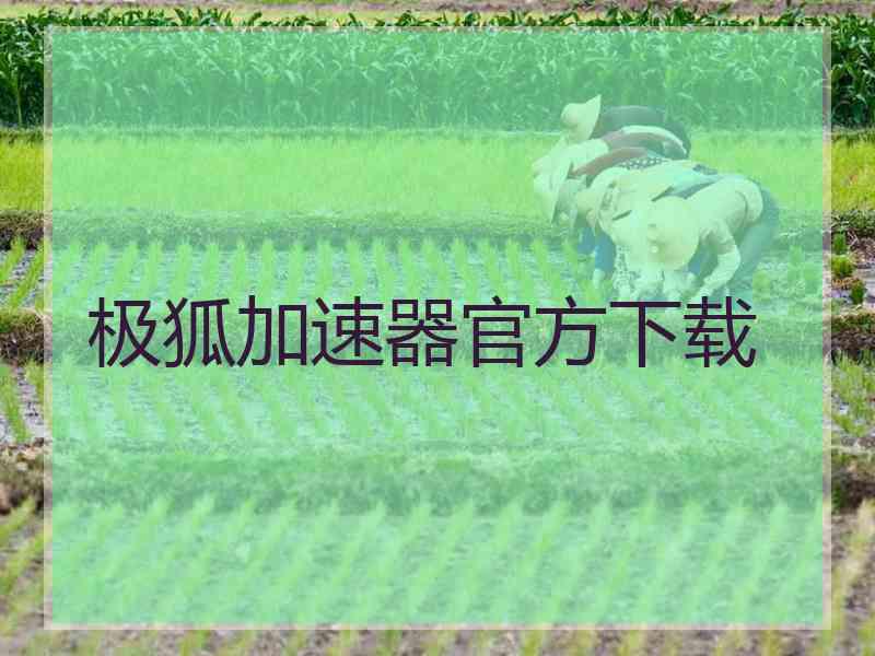 极狐加速器官方下载
