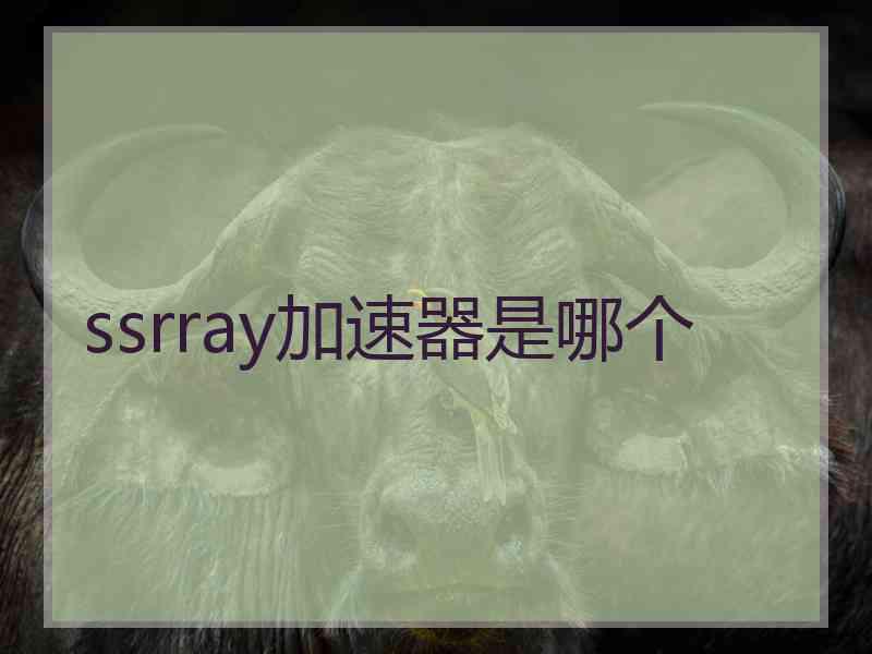ssrray加速器是哪个