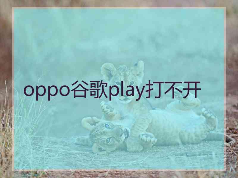 oppo谷歌play打不开