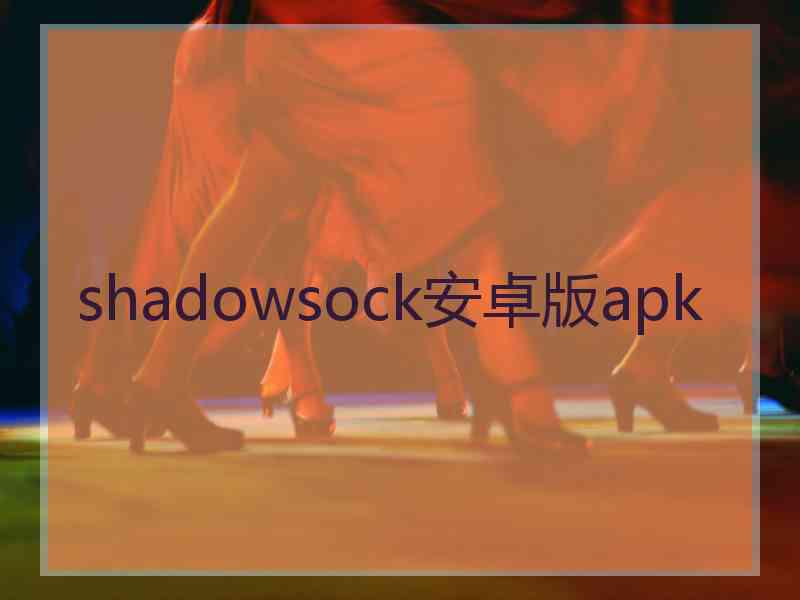 shadowsock安卓版apk
