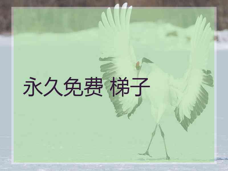 永久免费 梯子