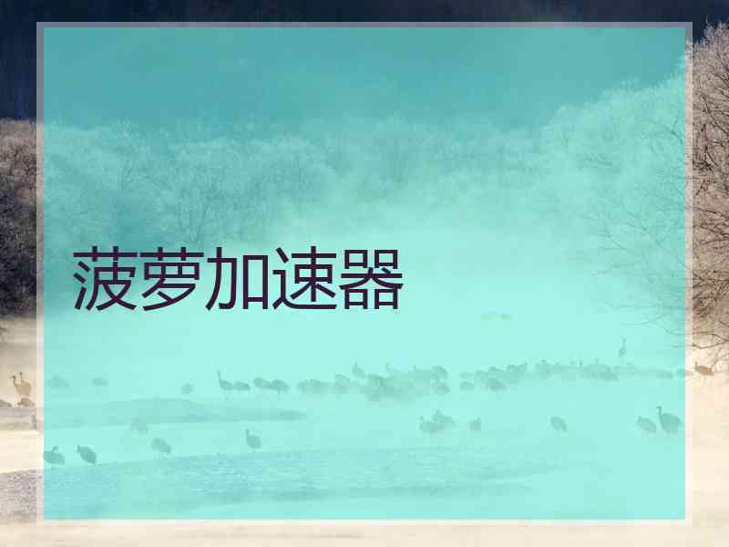 菠萝加速器