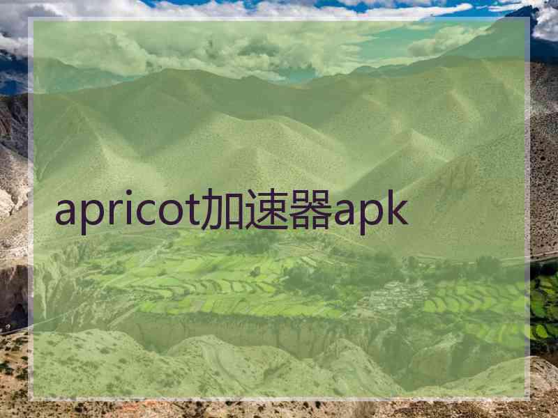 apricot加速器apk