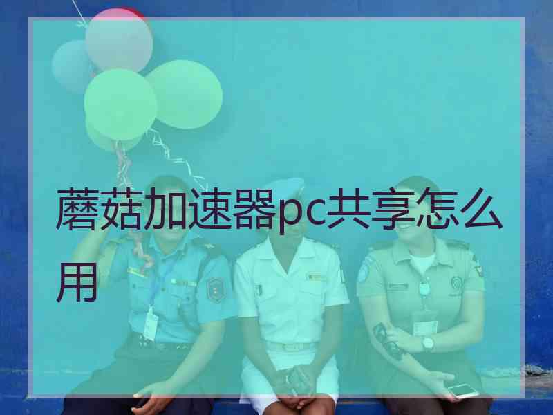 蘑菇加速器pc共享怎么用
