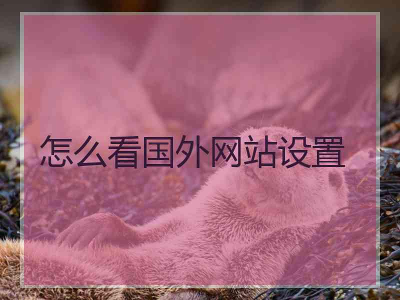 怎么看国外网站设置