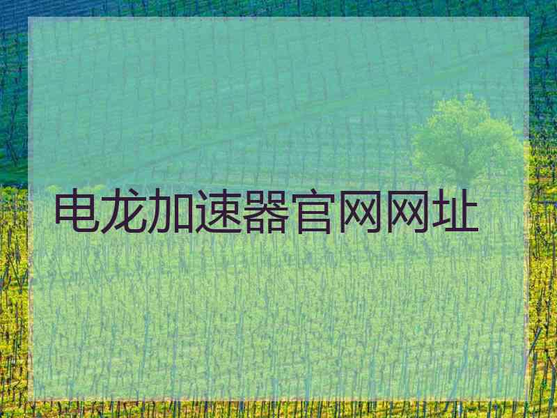 电龙加速器官网网址