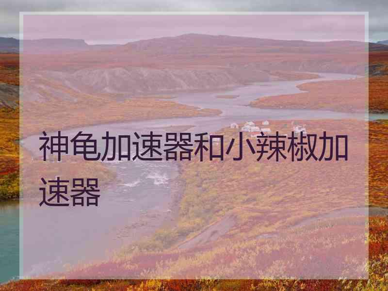 神龟加速器和小辣椒加速器