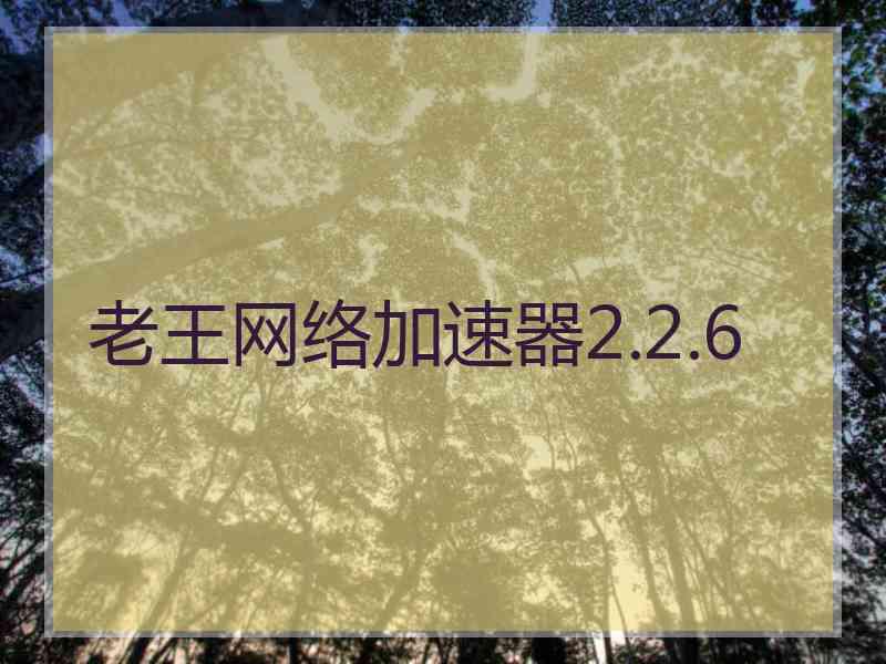 老王网络加速器2.2.6
