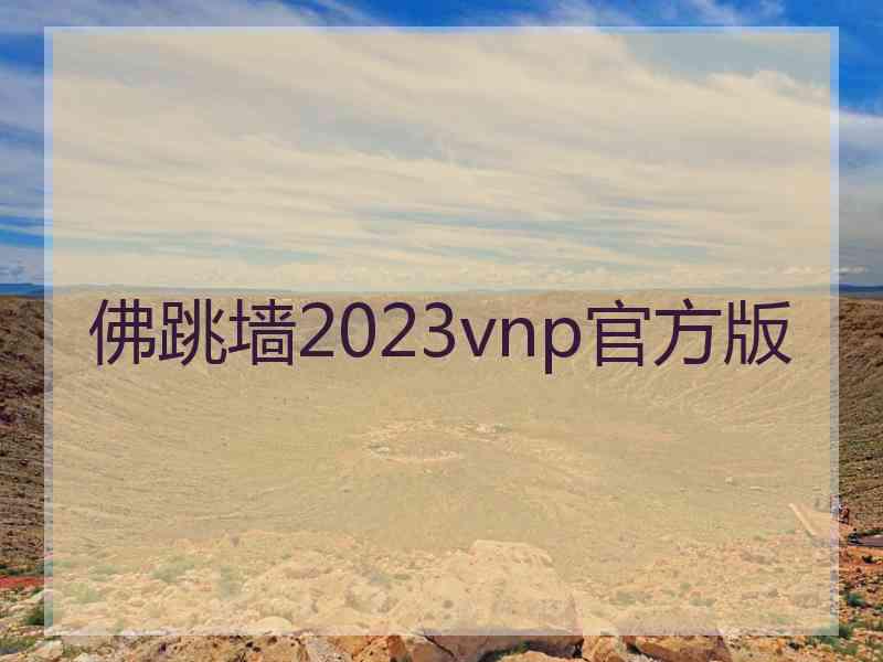 佛跳墙2023vnp官方版