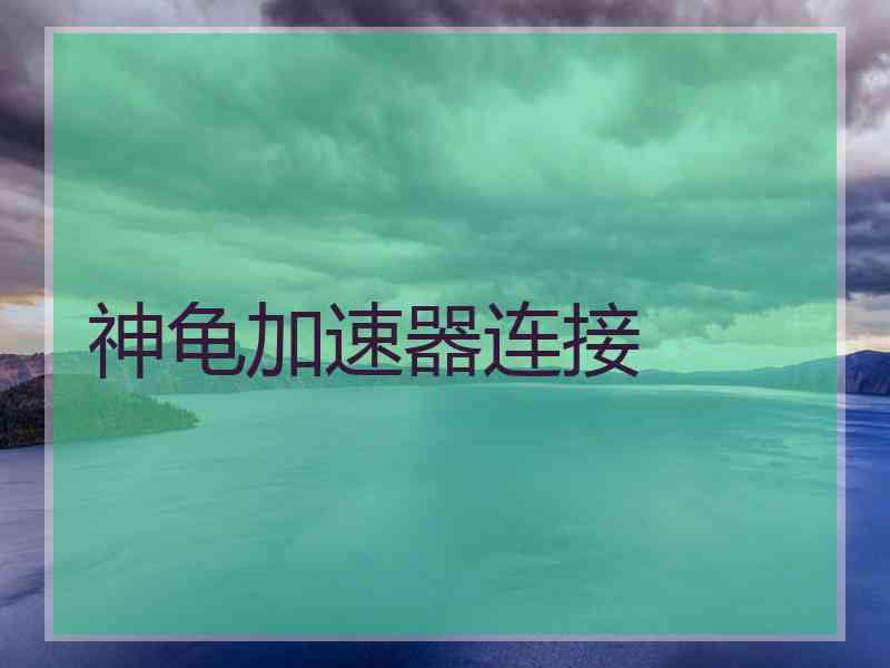 神龟加速器连接