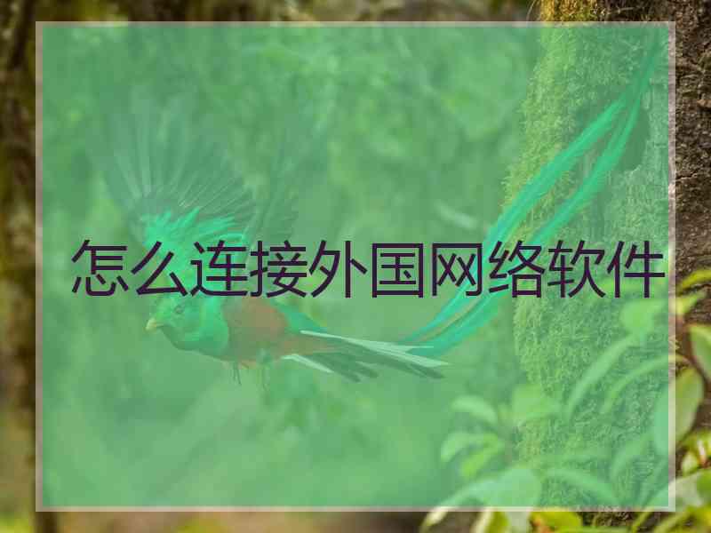 怎么连接外国网络软件