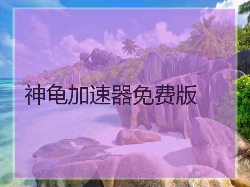 神龟加速器免费版